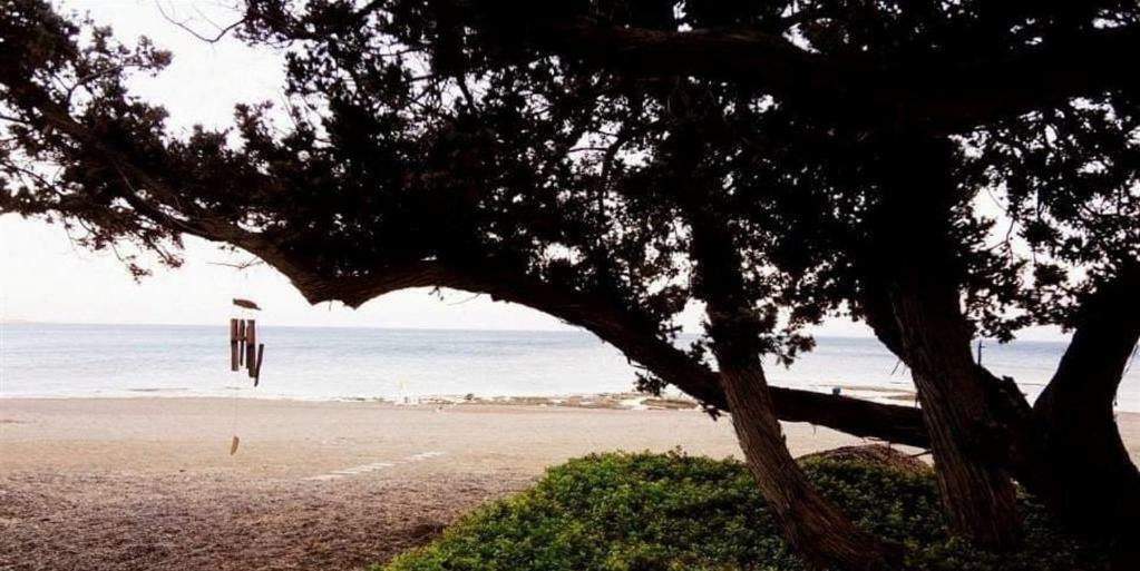 Marina Beach House Lárdosz Kültér fotó